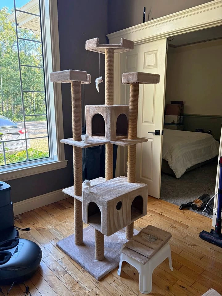 Cat tree tower condo