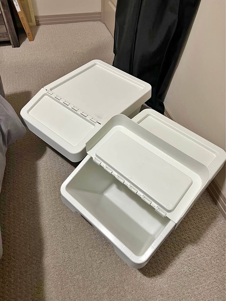 Organization Bin