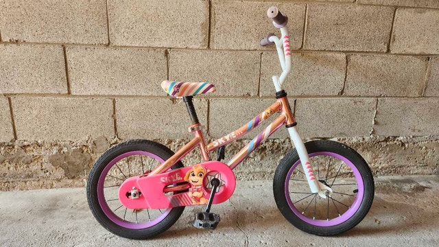 Paw Patrol Skye Bike