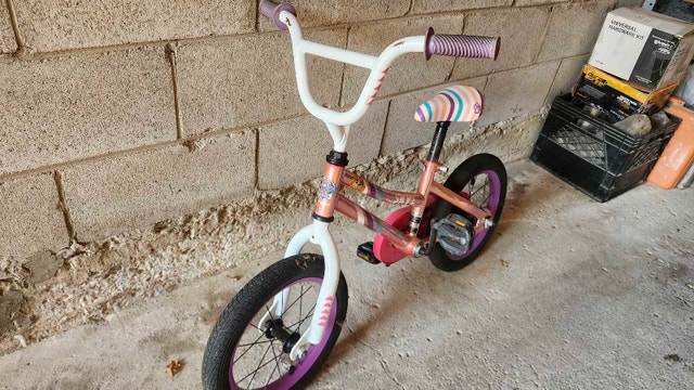 Paw Patrol Skye Bike - photo 3