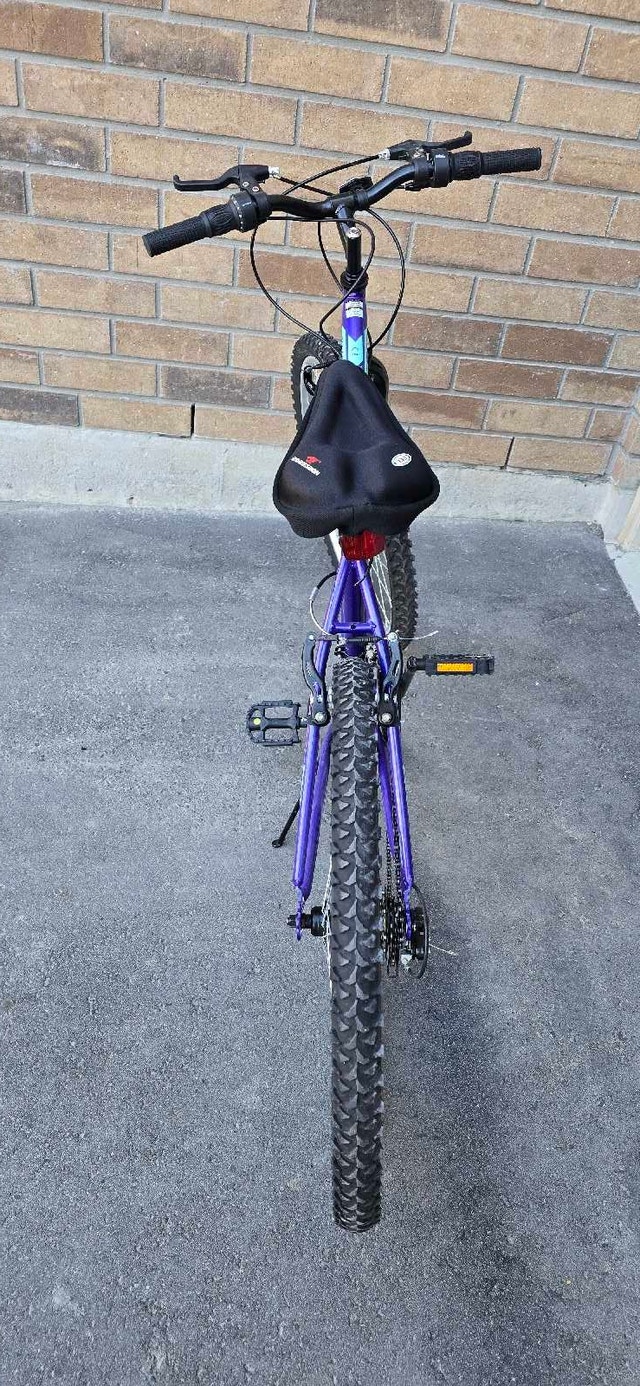 Movelo Algonquin bicycle for sale - photo 3
