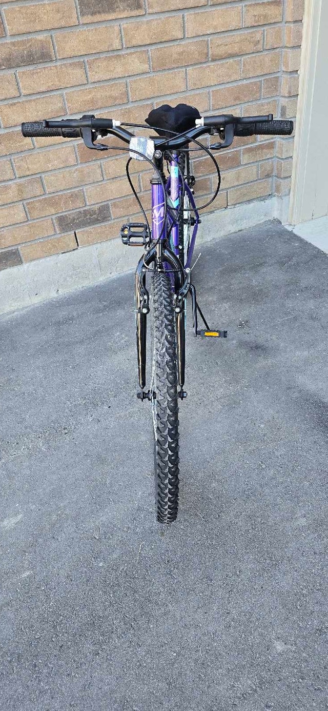 Movelo Algonquin bicycle for sale - photo 4
