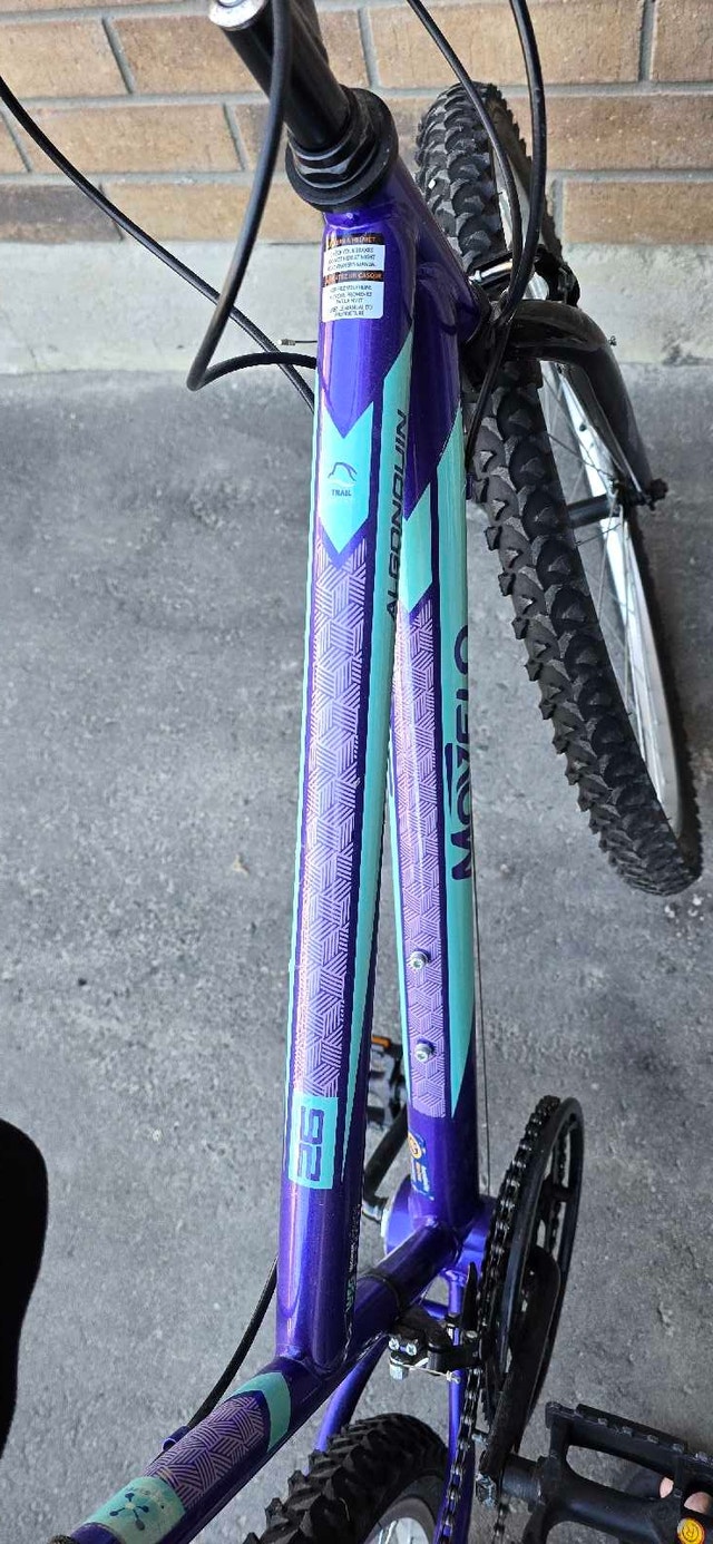 Movelo Algonquin bicycle for sale - photo 5