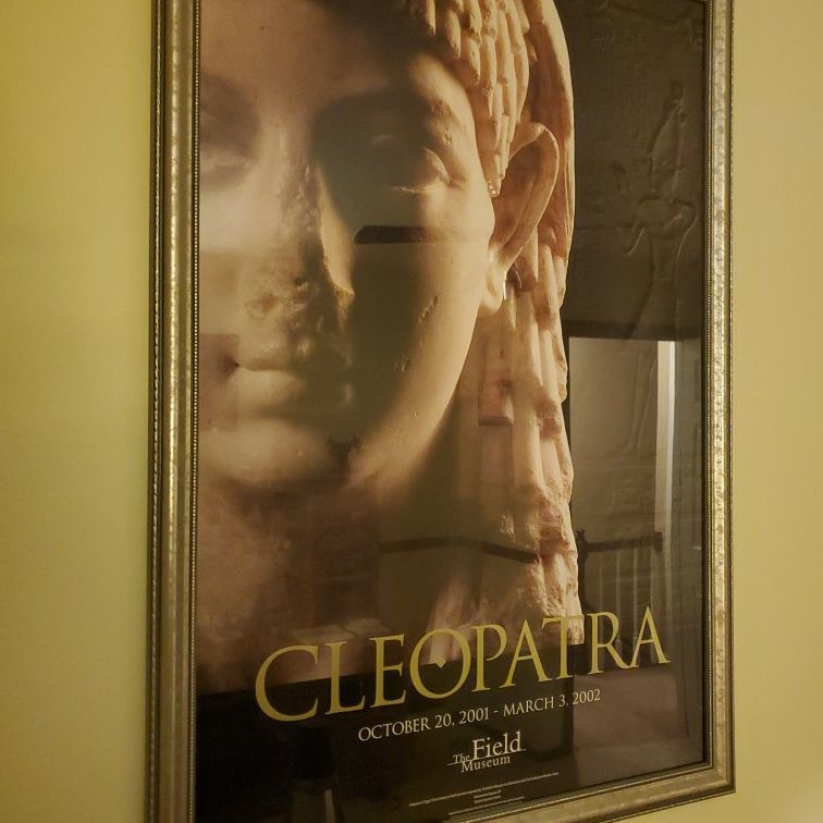 Cleopatra Framed Picture From The Field Museum