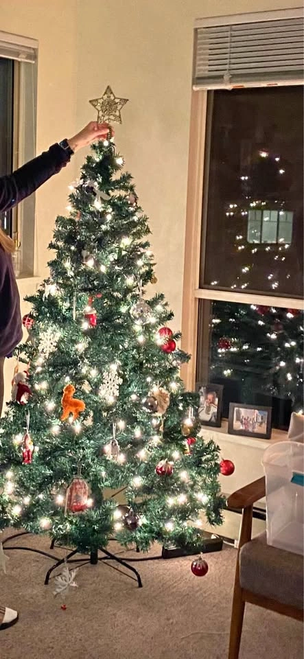 Christmas Decorations