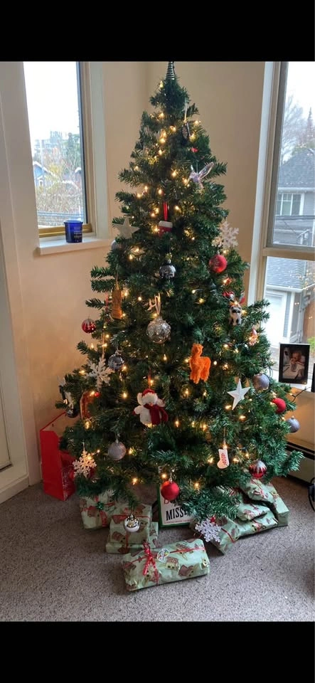 Christmas Decorations - photo 2