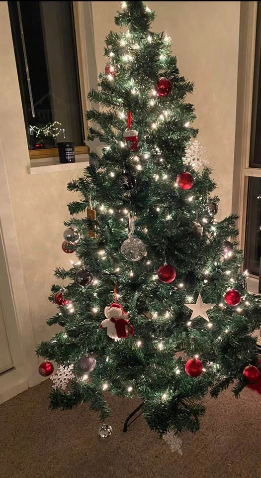 Christmas Decorations - photo 3
