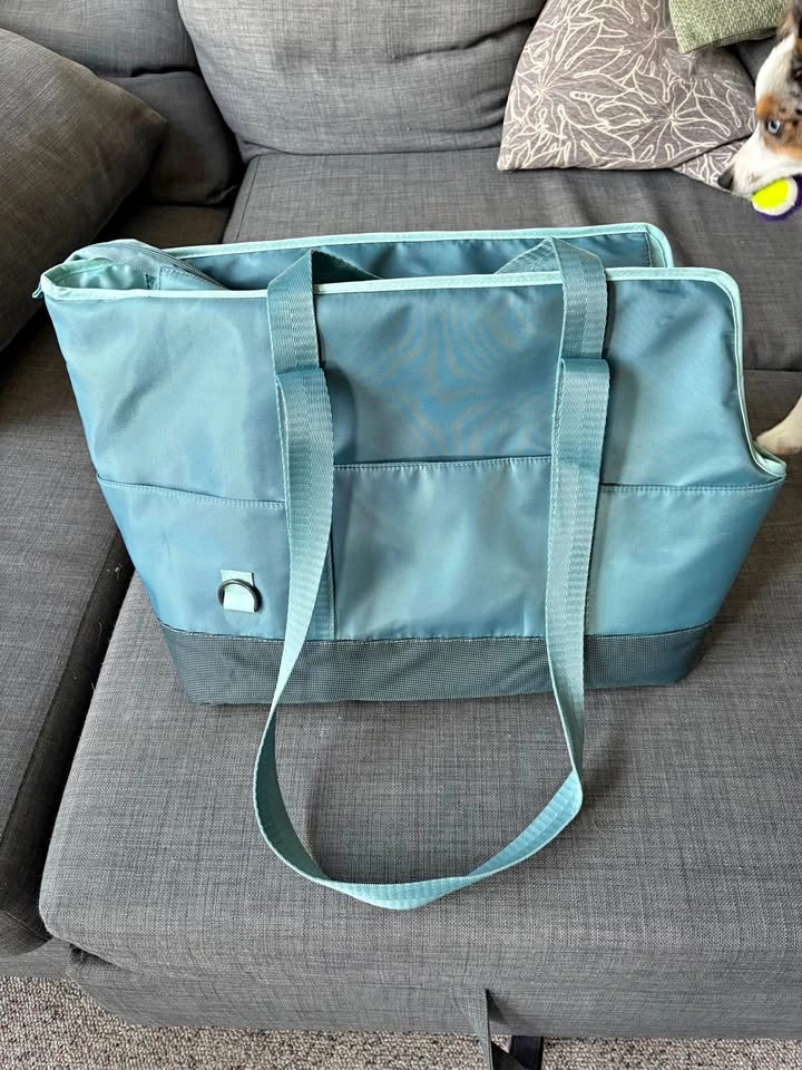 Top Paw Teal Dog Tote Carrier - For Pets Up To 15 lbs