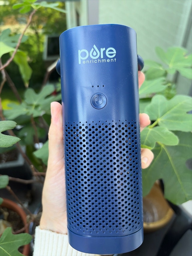 Pure portable air purifier