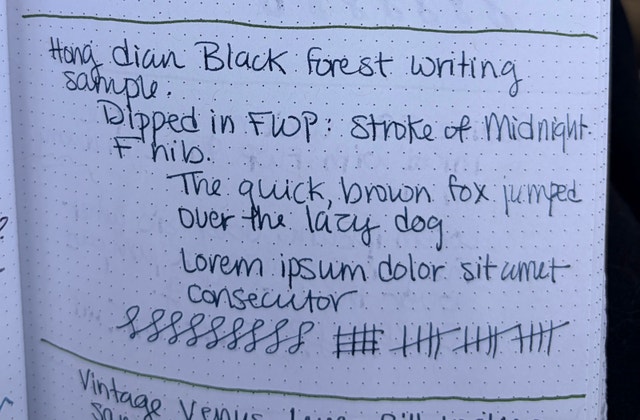 Hong Dian Black Forest fountain pen - photo 5