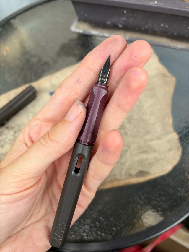 Lamy Safari fountain pen - photo 3