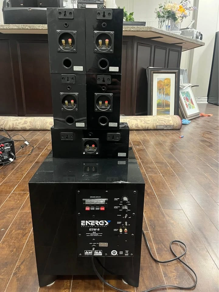 Energy Take Classic 5.1 Surround Sound System + ESW-8 Sub - photo 2