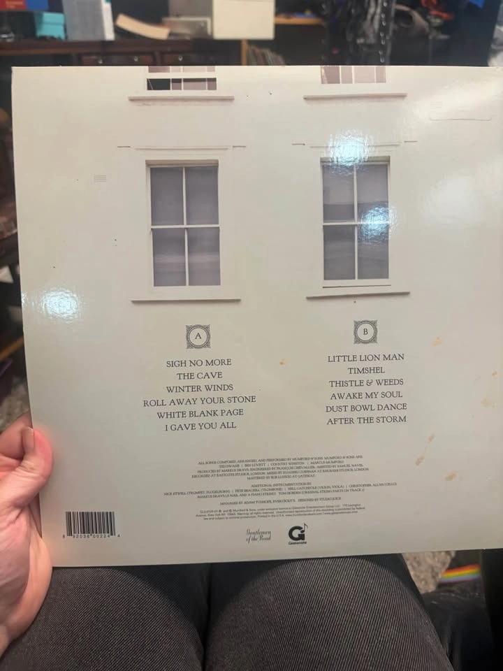 Mumford & Sons - Sigh No More Vinyl Record - photo 2