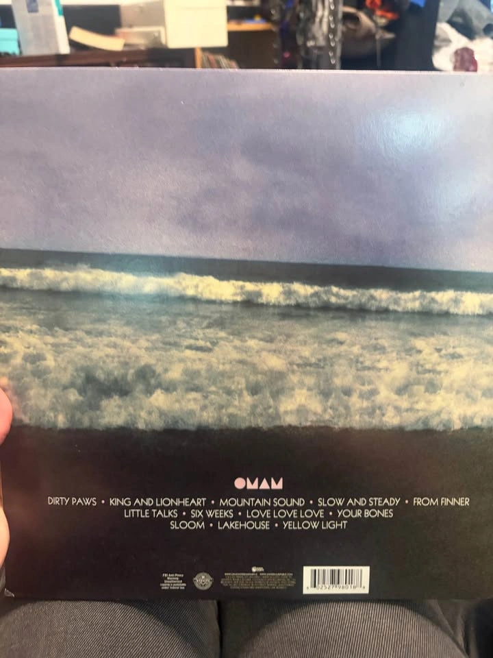 Of Monsters and Men - My Head Is An Animal Vinyl Record - photo 2