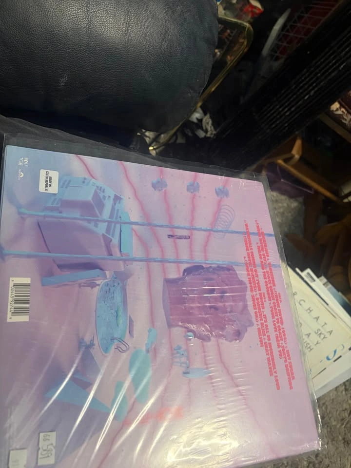 Glass Animals Dreamland Vinyl Record - photo 2