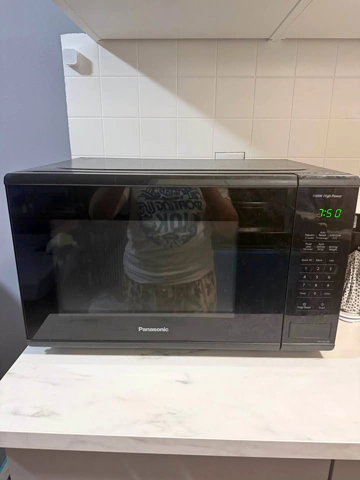1100W Panasonic High Power