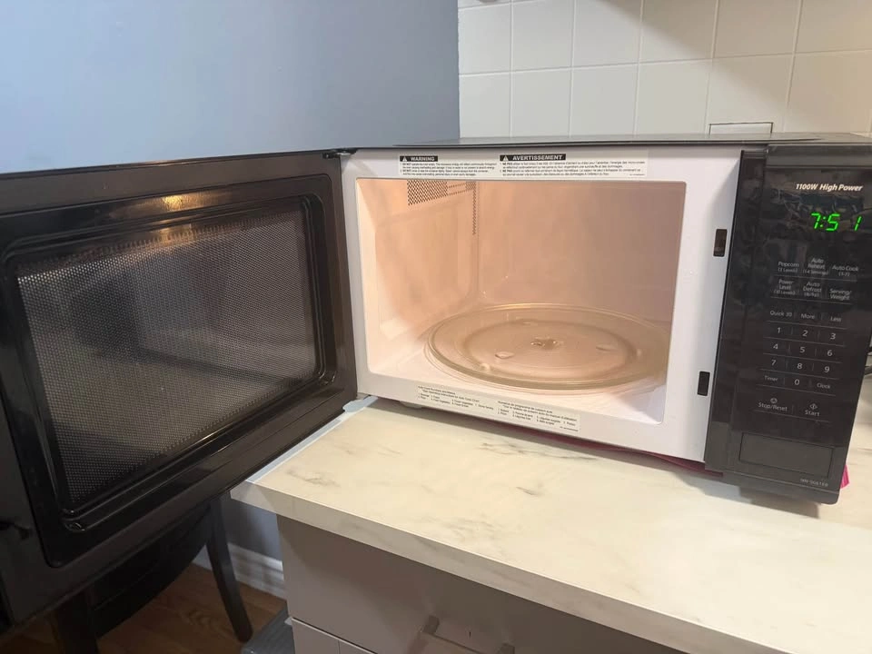 1100W Panasonic High Power - photo 2