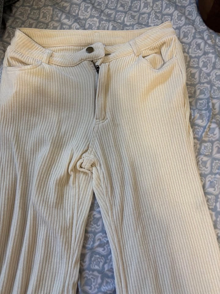 Industry Cream Corduroy Pants - photo 3