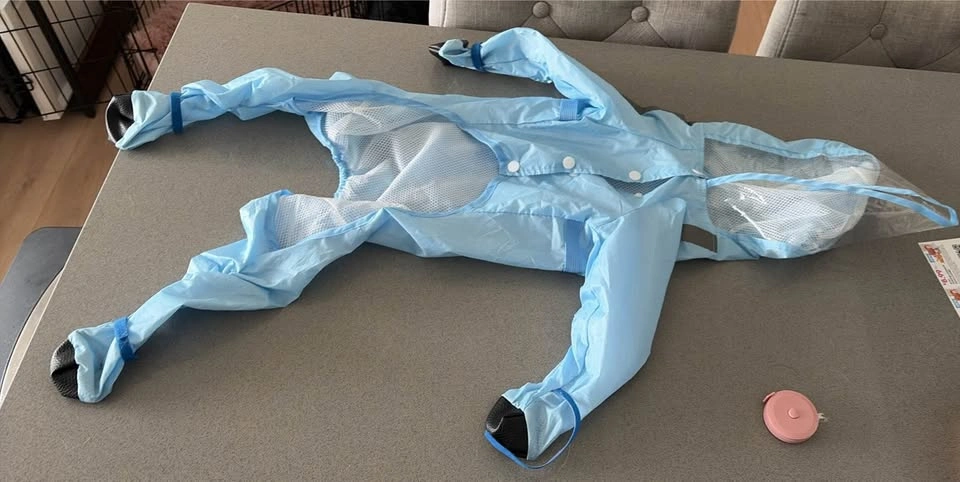 Dog Raincoat - Blue - photo 2