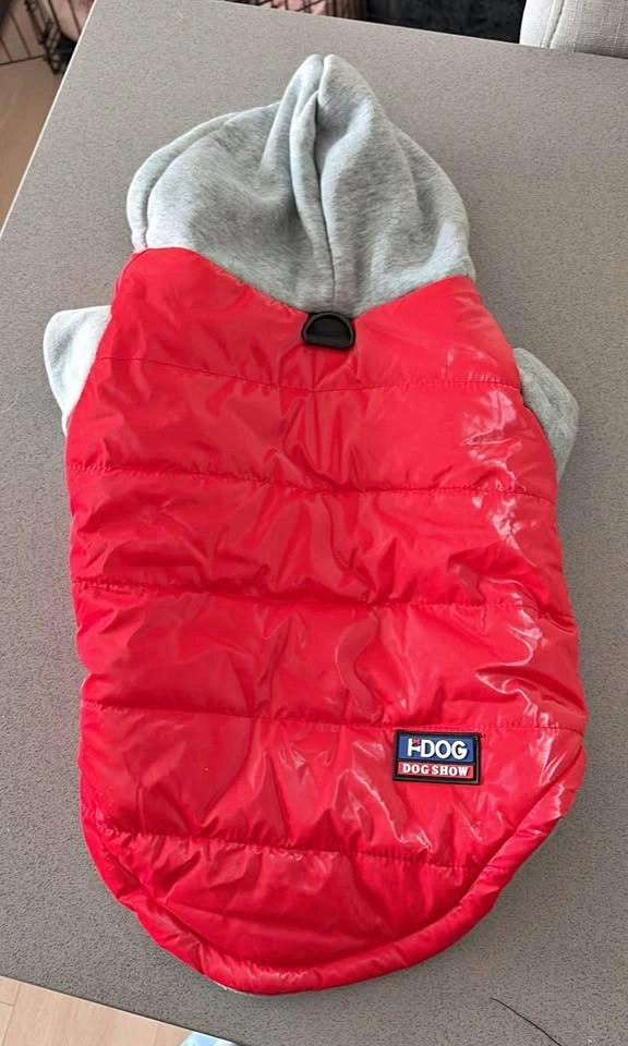 Dog Red Hoodie