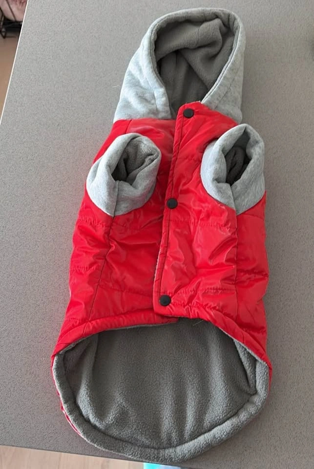 Dog Red Hoodie - photo 3