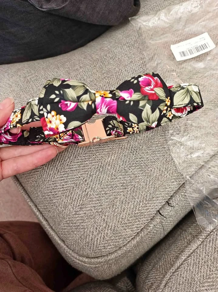 Dog Collar Bow Tie