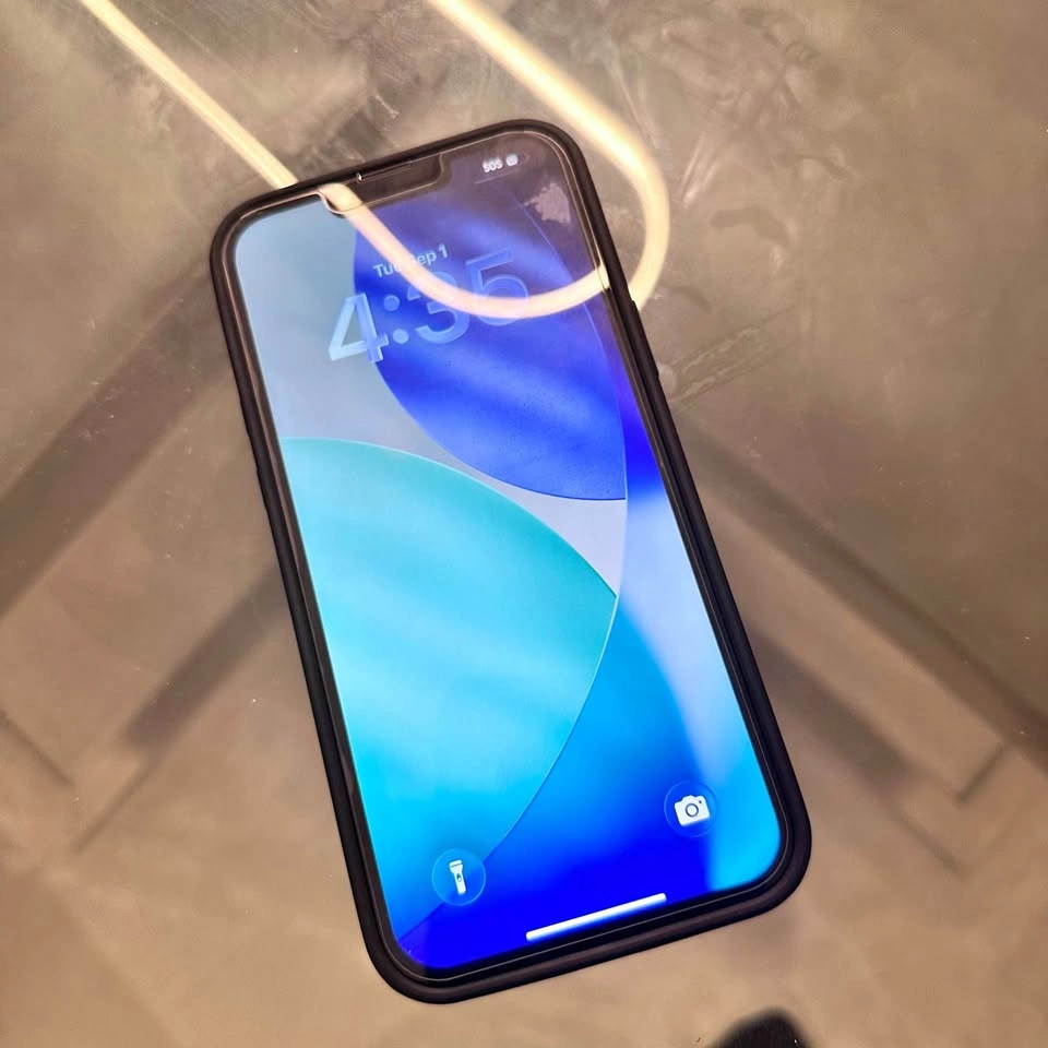 iPhone 13 PRO MAX 256 GB + screen protector + case