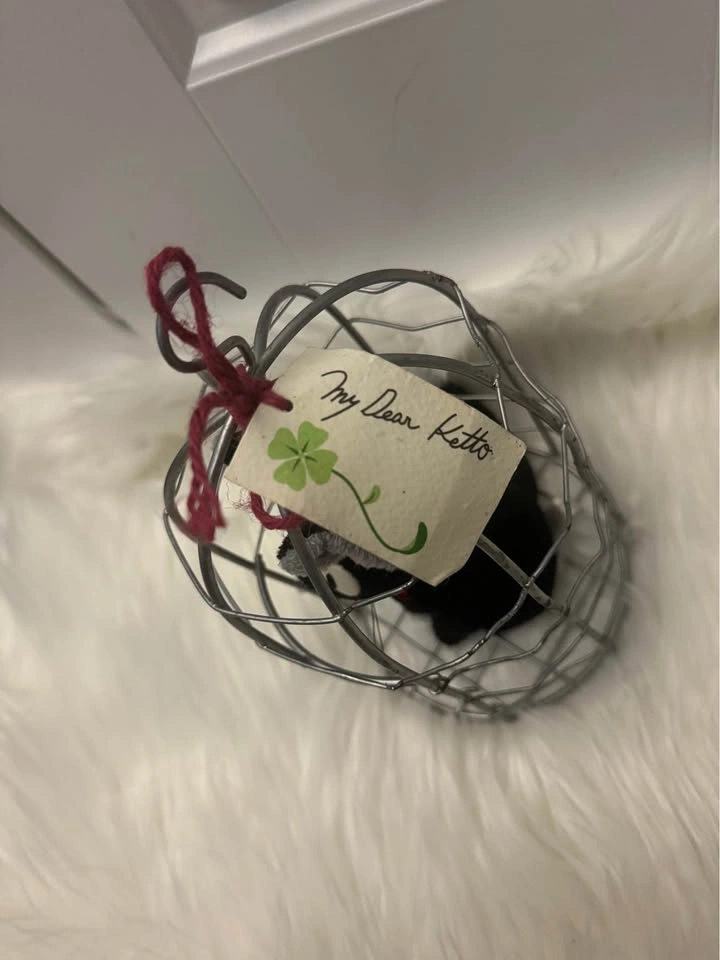 Jiji in a Cage Plus Kiki’s Delivery Service Ghibli - photo 4