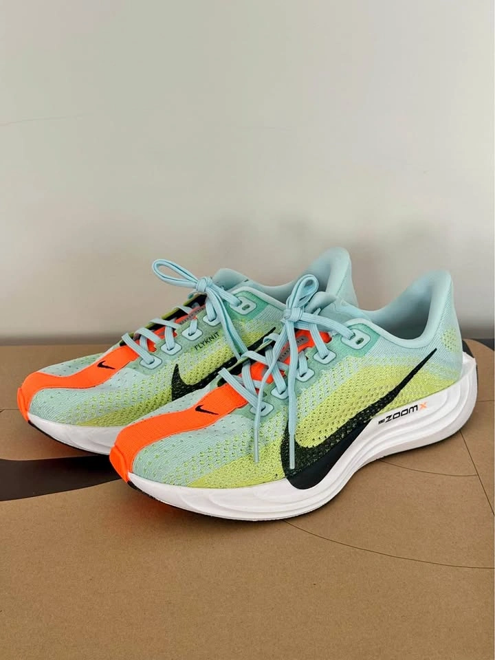 Nike Pegasus Plus Women