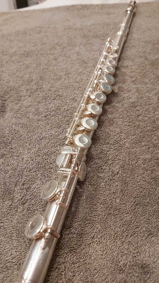 Yamaha YFL-21N & Gemeinhardt 2SP flute - photo 3