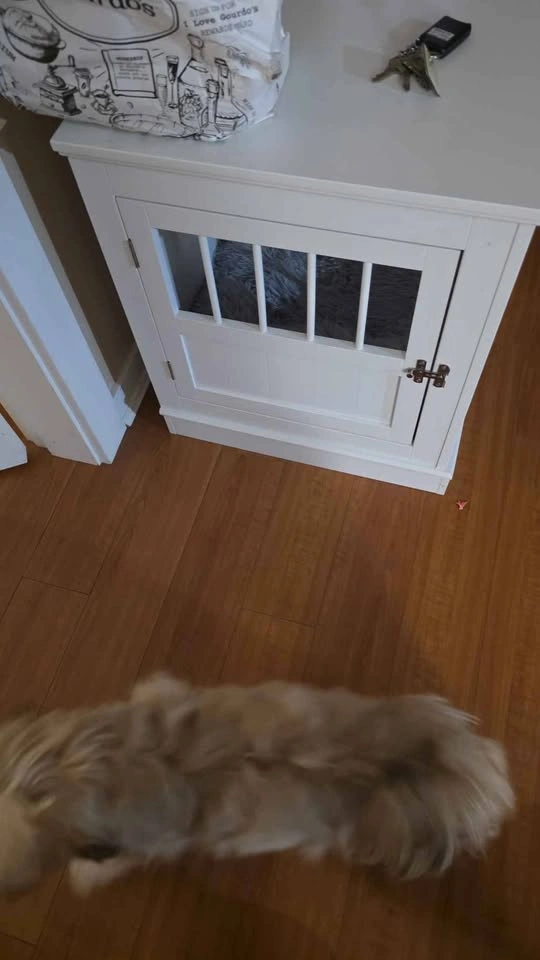 White Wooden Furniture Style Dog Crate End Table - photo 2