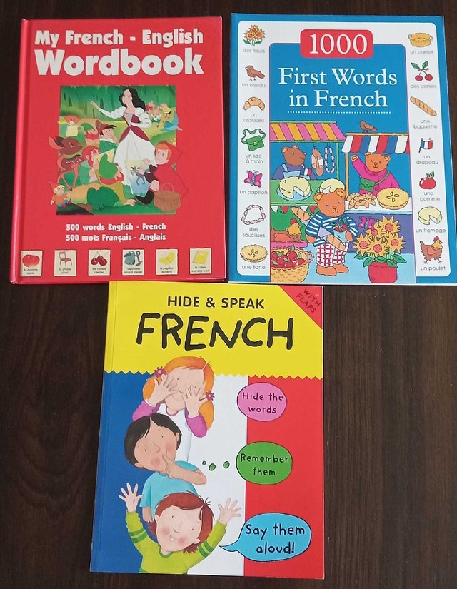 Children's French Instruction books