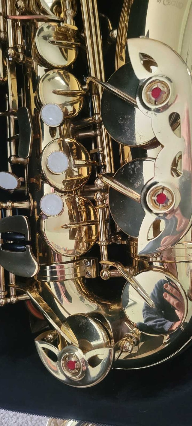 E-Flat alto Saxophone - photo 3