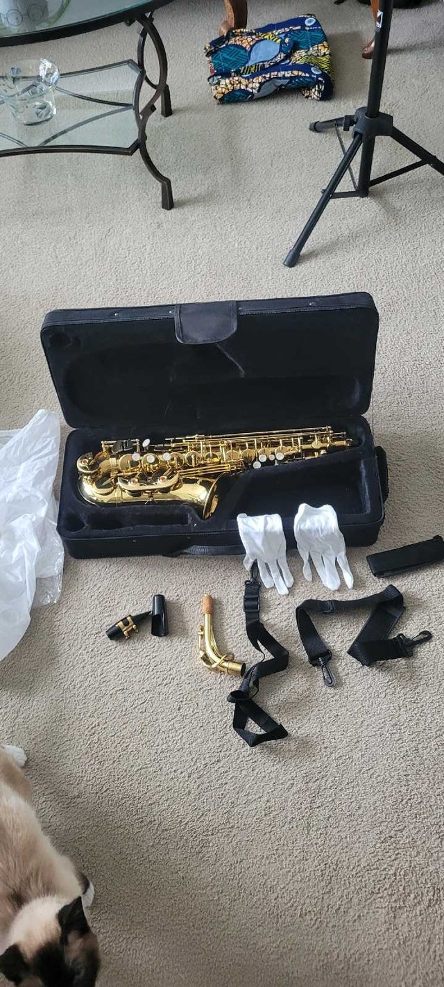 E-Flat alto Saxophone - photo 4