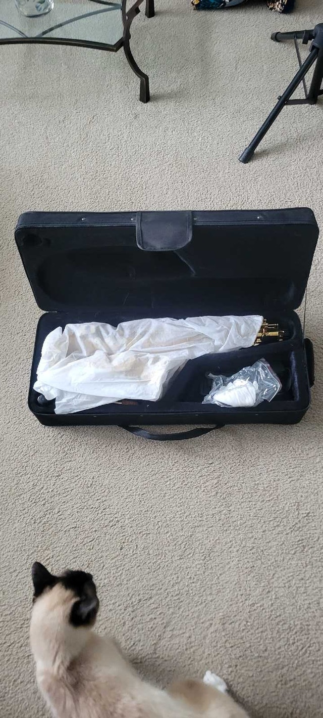 E-Flat alto Saxophone - photo 5