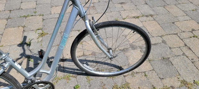 Bicycle - Giant Cypress - photo 4