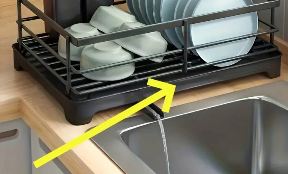 Only Tray (No Rack Included) with Drain Holes - photo 3