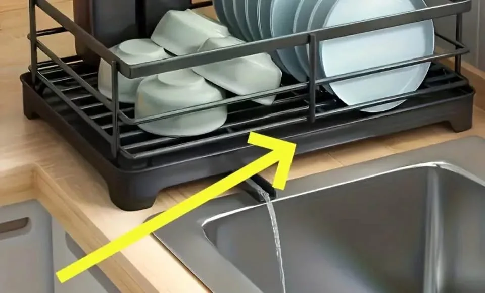 Only Tray (No Rack Included) with Drain Holes image indicator(3)