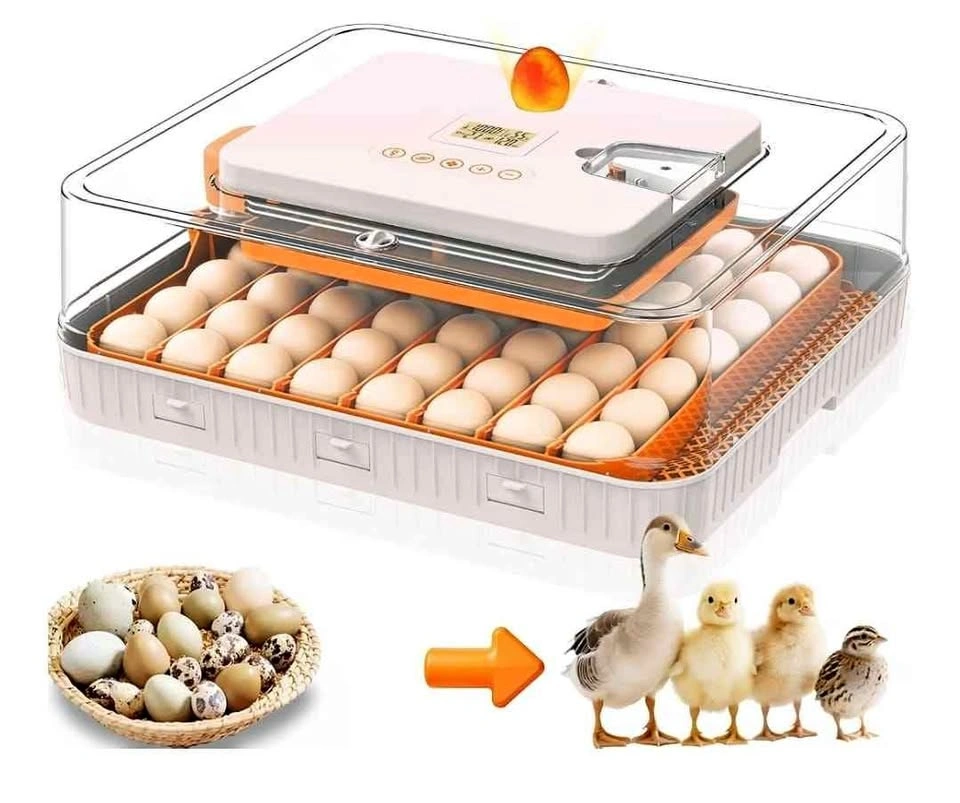 Brand New Automatic Egg Incubator for 56 Eggs