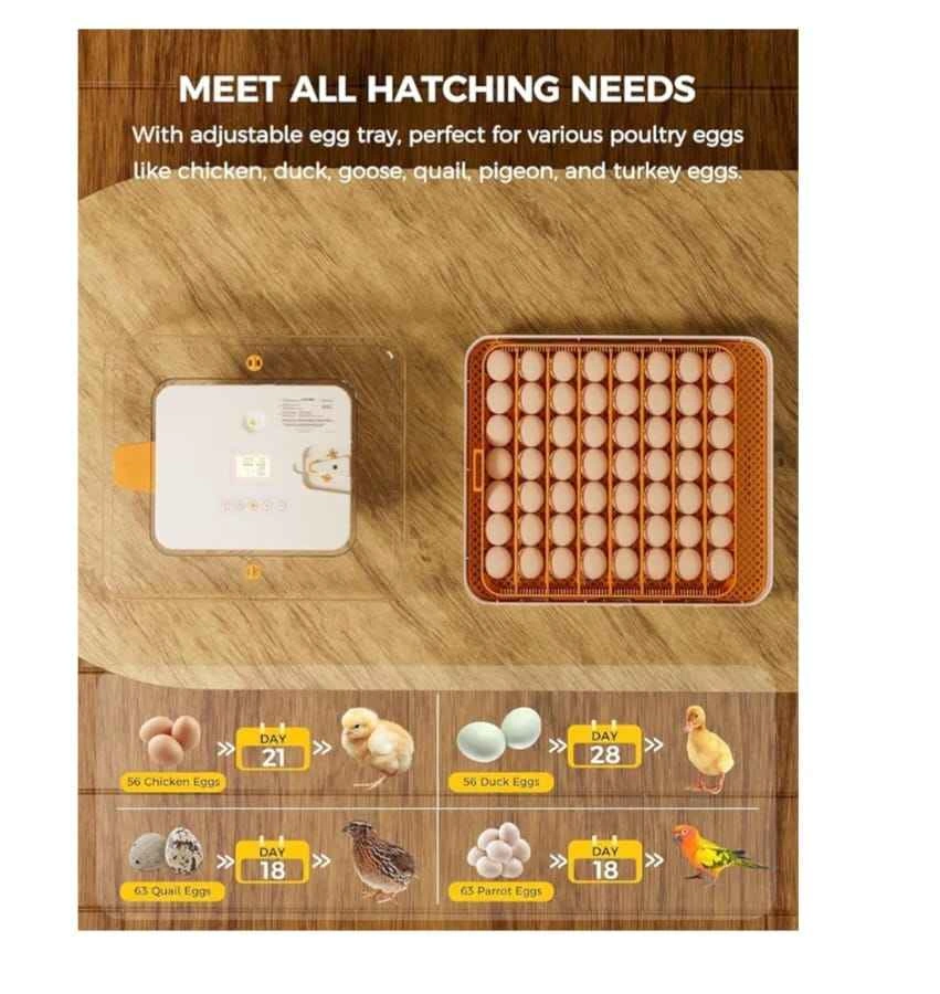 Brand New Automatic Egg Incubator for 56 Eggs - photo 3