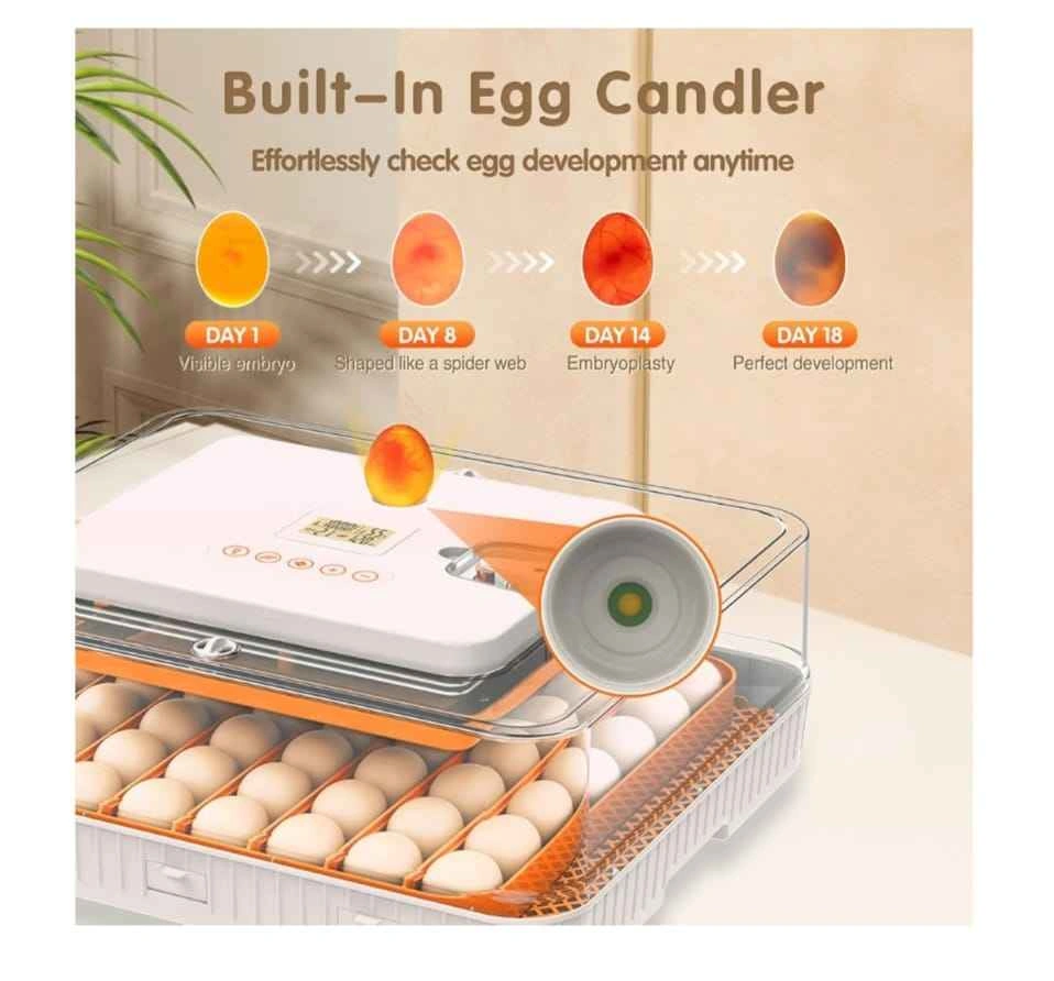 Brand New Automatic Egg Incubator for 56 Eggs - photo 4