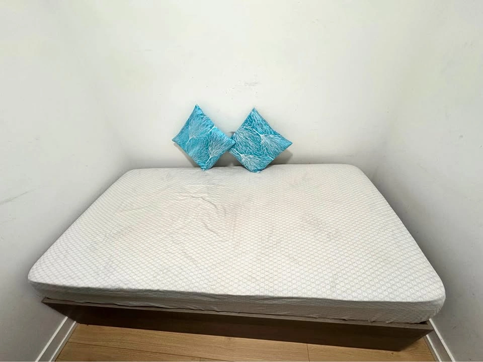 Single bed (storage) with mattress ,2 pillows,1 sheet