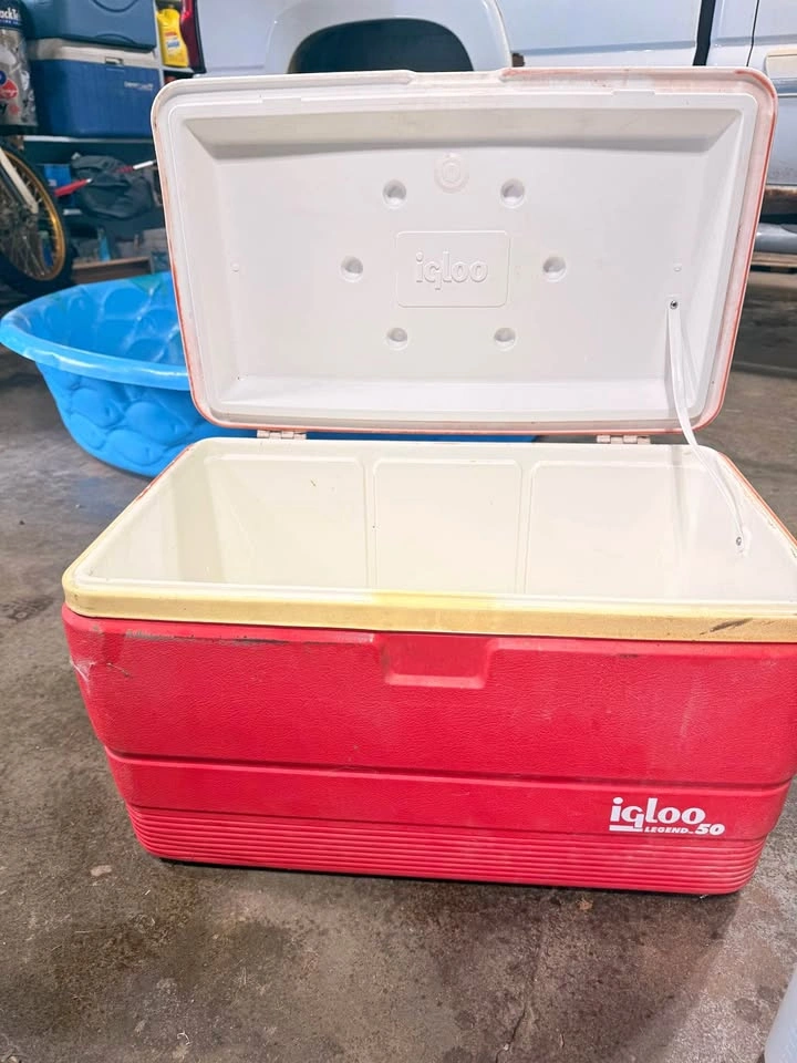 Igloo Legend 50 Cooler