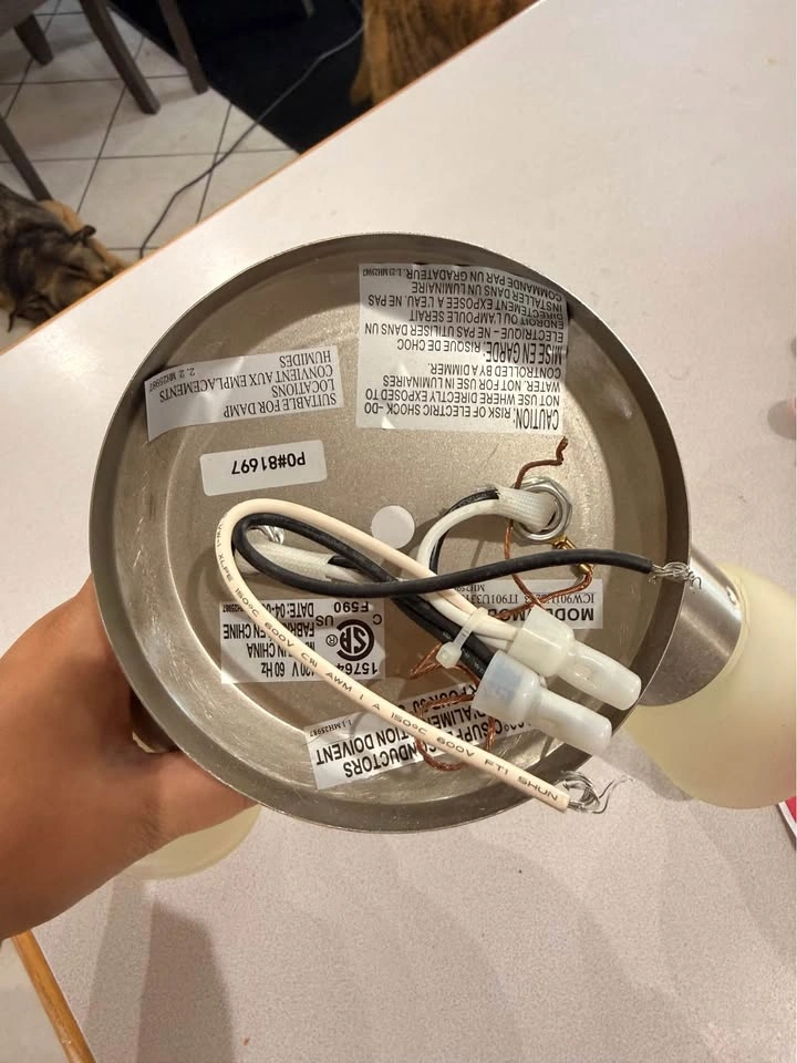 Brushed Nickel 2-Light Directional Track Lighting - photo 2