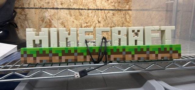 Minecraft Paladone Logo Light