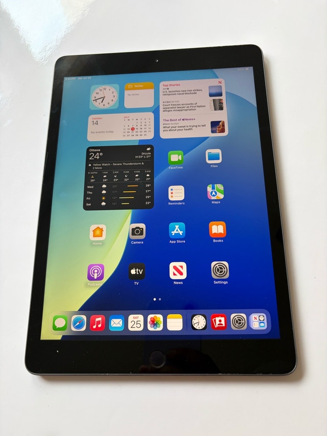 iPad 7th Gen (87% Battery Health)