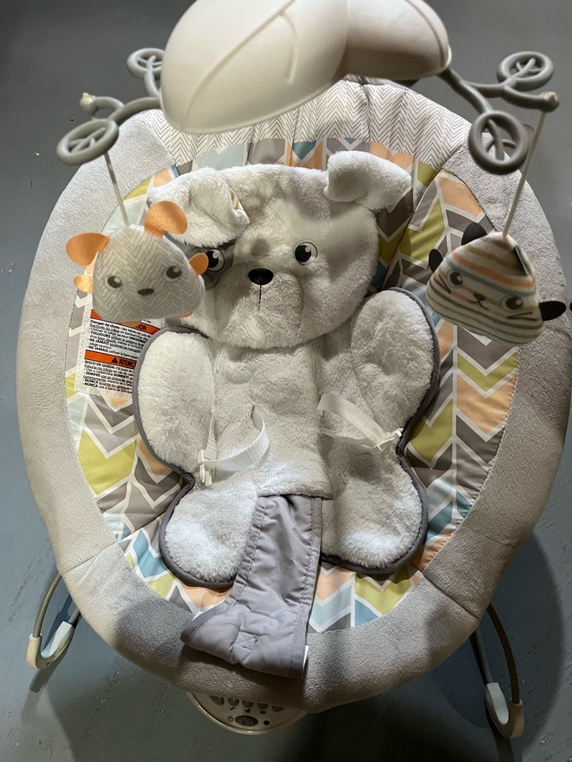 Fisher-Price Baby Bouncer