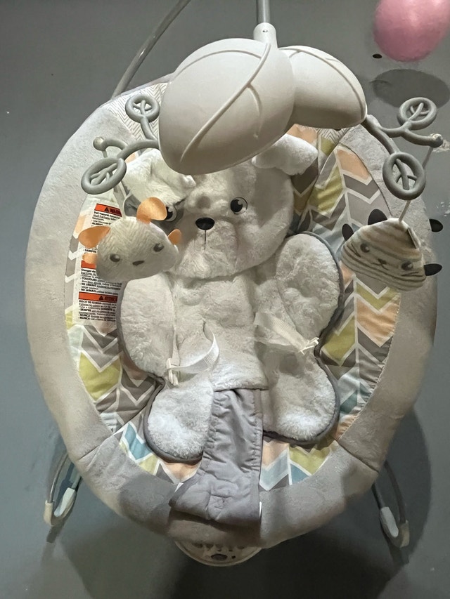 Fisher-Price Baby Bouncer - photo 2