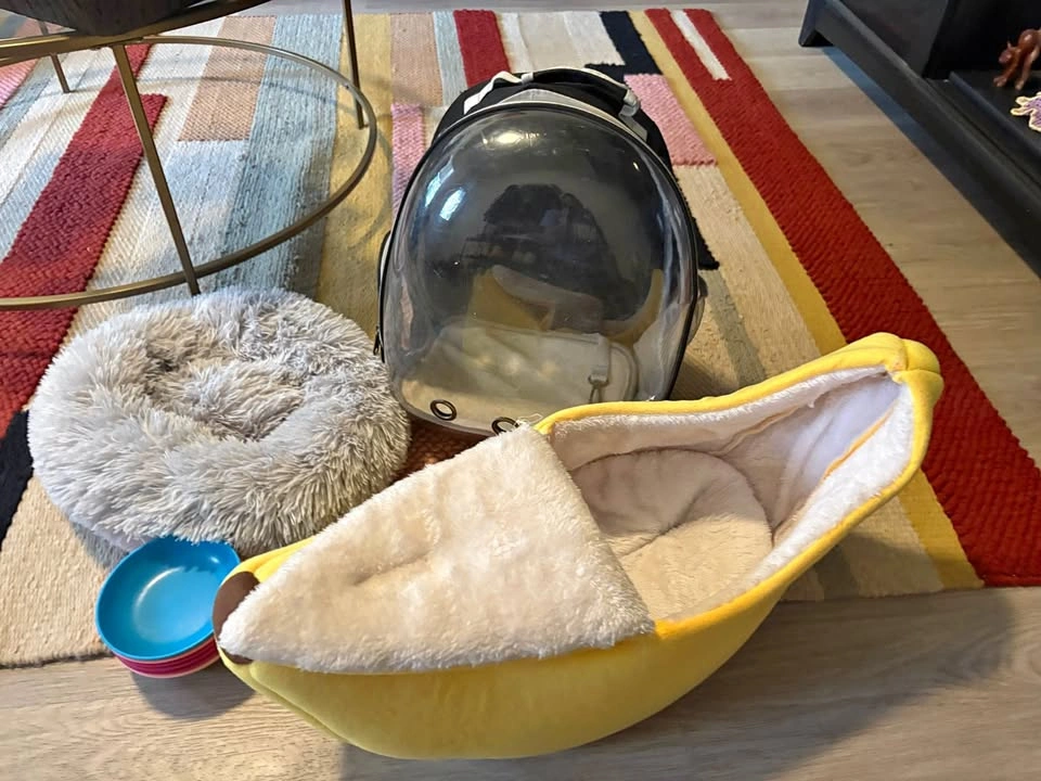 Cat Stuff Bundle – Beds, Backpack, Sweater & Bowls