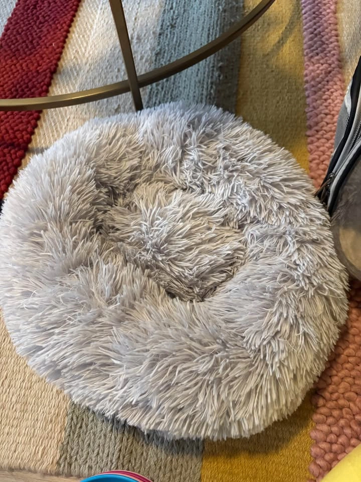 Cat Stuff Bundle – Beds, Backpack, Sweater & Bowls - photo 2